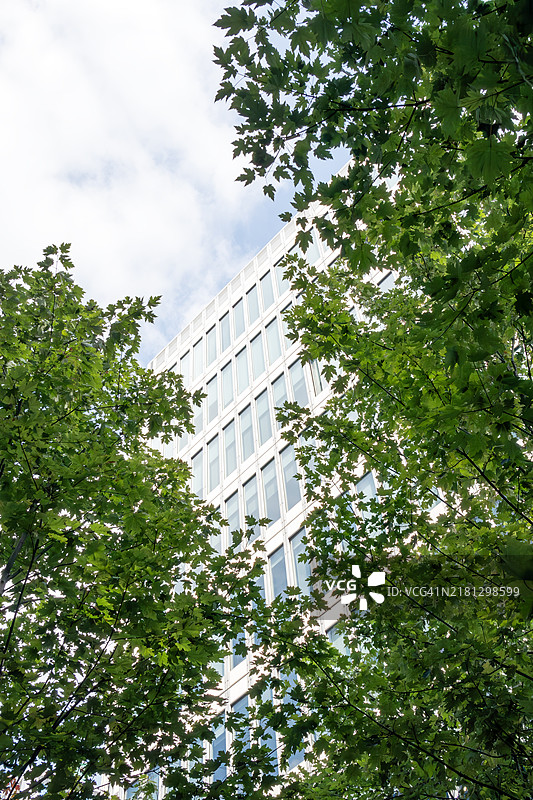 高耸树木与现代建筑对比的天空景色图片素材