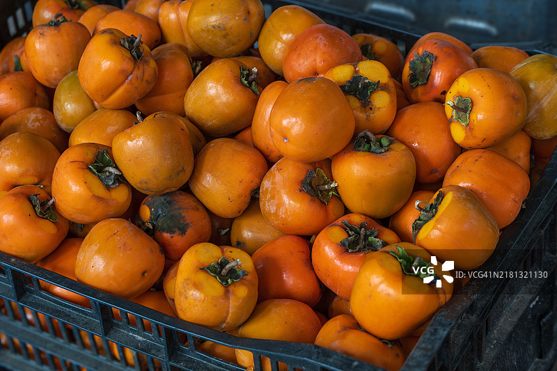 刚刚采摘的美味成熟柿子图片素材
