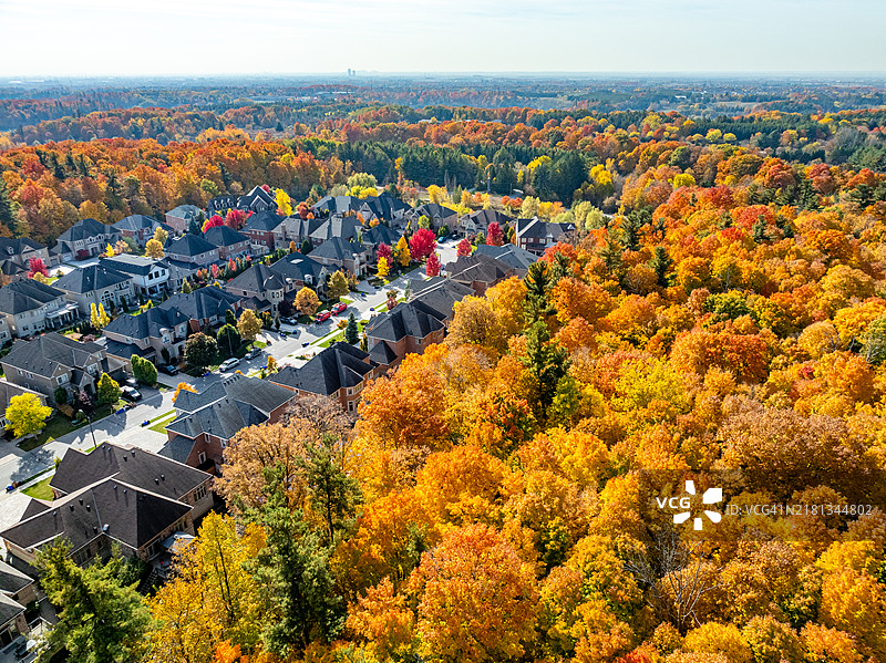 加拿大沃恩伍德布里奇松树村的韦洛尔村和科特赖特保护中心图片素材