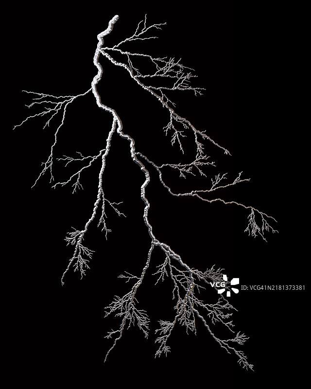 黑色背景上神经根形状的金属银色液体滑道图片素材
