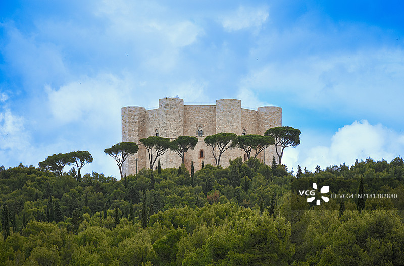 “卡斯特尔德尔蒙特”被意大利普利亚安德里亚的美丽松树林环绕图片素材