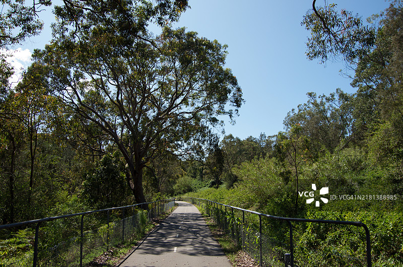 费恩利小道，红头，澳大利亚新南威尔士州，供骑行和步行/慢跑的共享路径图片素材