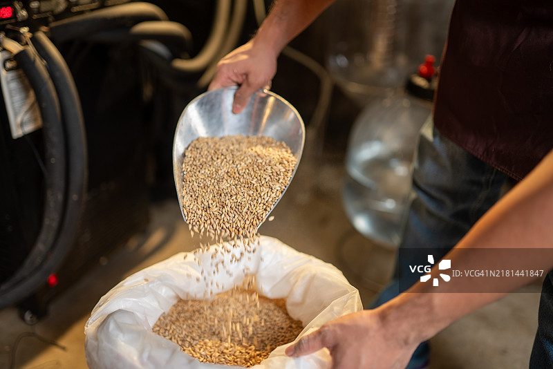倒入大麦以进行酿造过程图片素材