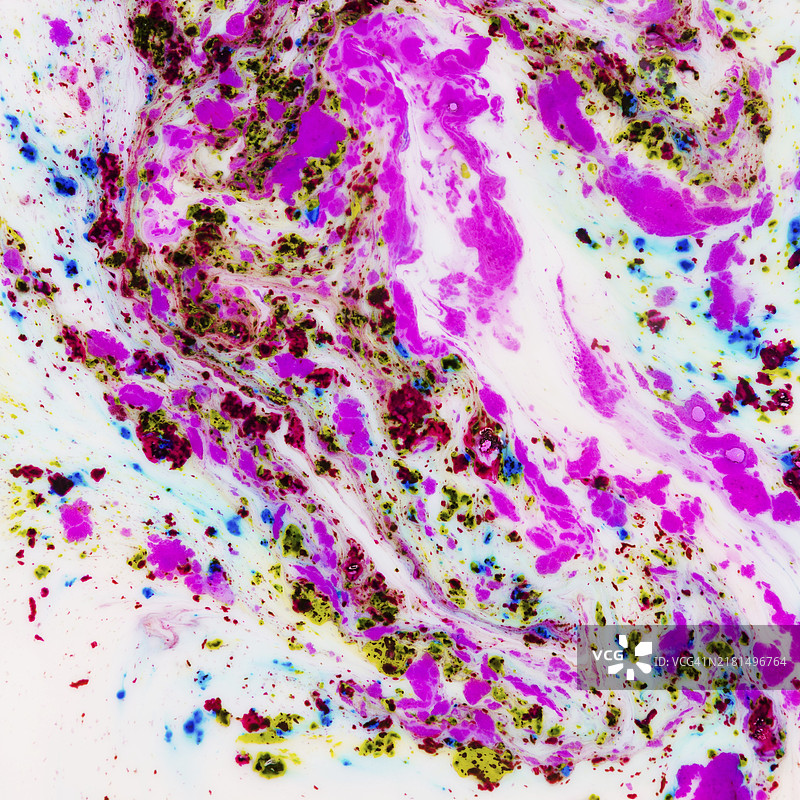 混合彩色洒红节粉末的液体图片素材