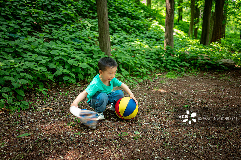 森林中的休闲时光图片素材