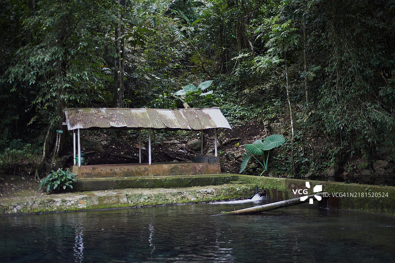 森林中以前的避雨棚图片素材