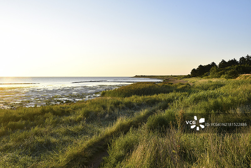 德国石勒苏益格-荷尔斯泰因州阿姆鲁姆岛东岸的瓦登海图片素材