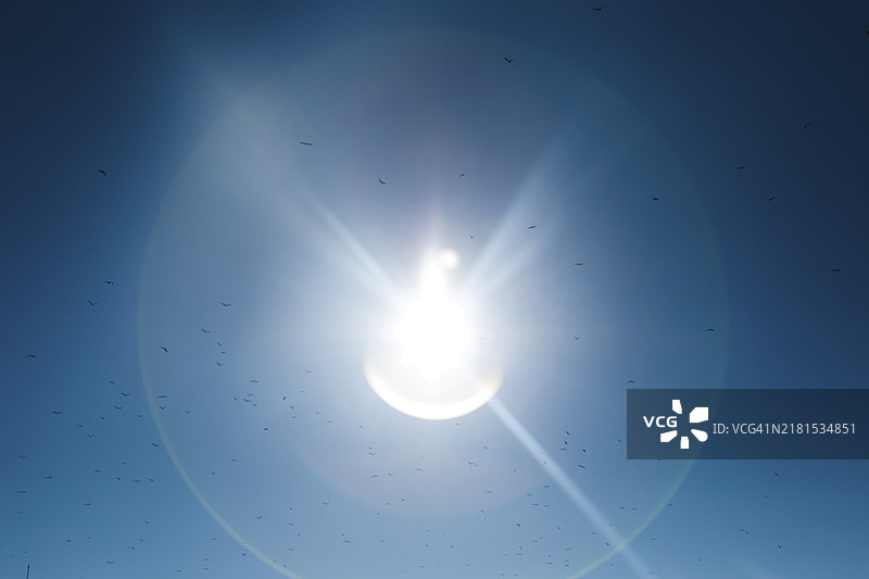 阳光反射图片素材