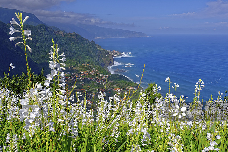 圣若热岛，马德拉岛白百合与大西洋海岸风光图片素材