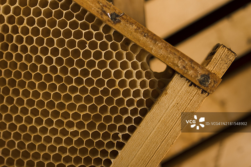 俯视视角：蜂窝图片素材