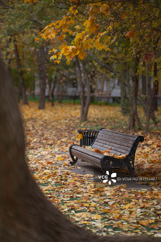 秋天公园里的空长椅图片素材