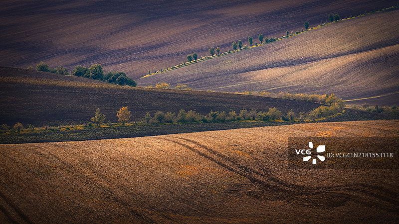 农业田野的美丽景色图片素材