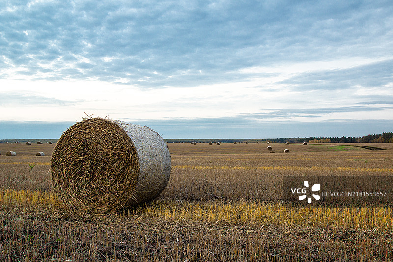 俄罗斯利佩茨克州秋季日落时的田野图片素材