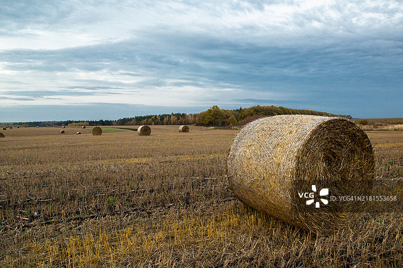 俄罗斯利佩茨克州秋季日落时的田野图片素材