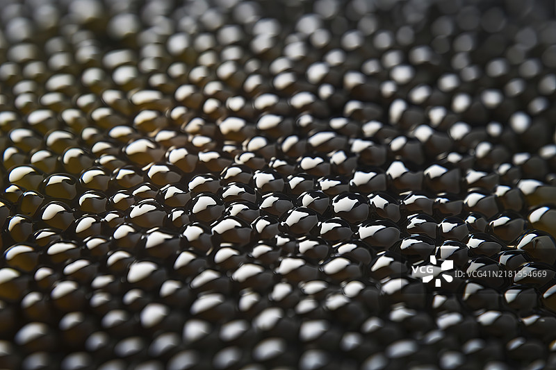 黑鱼子酱的纹理表面特写图像图片素材