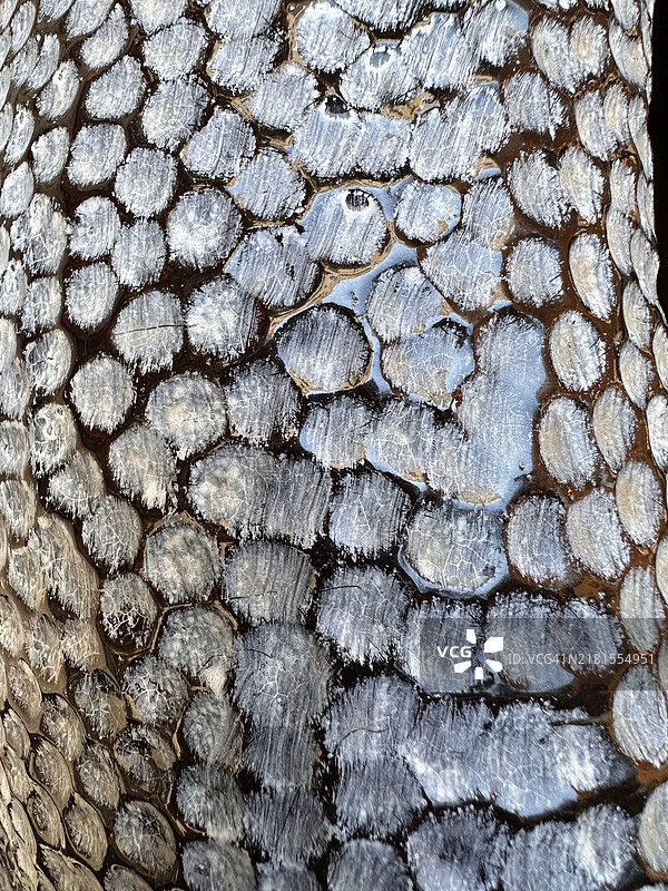 马耳他的树皮特写图片素材