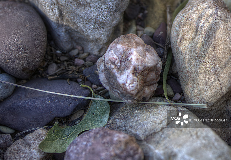 索诺兰沙漠中的干涸河床图片素材