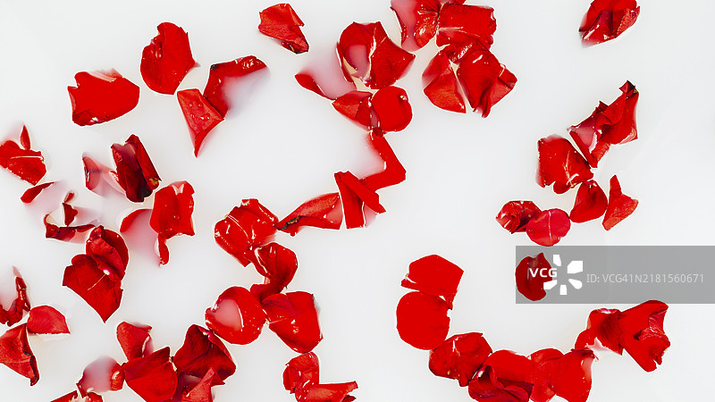 漂浮在水中的红色玫瑰花瓣高空景色图片素材