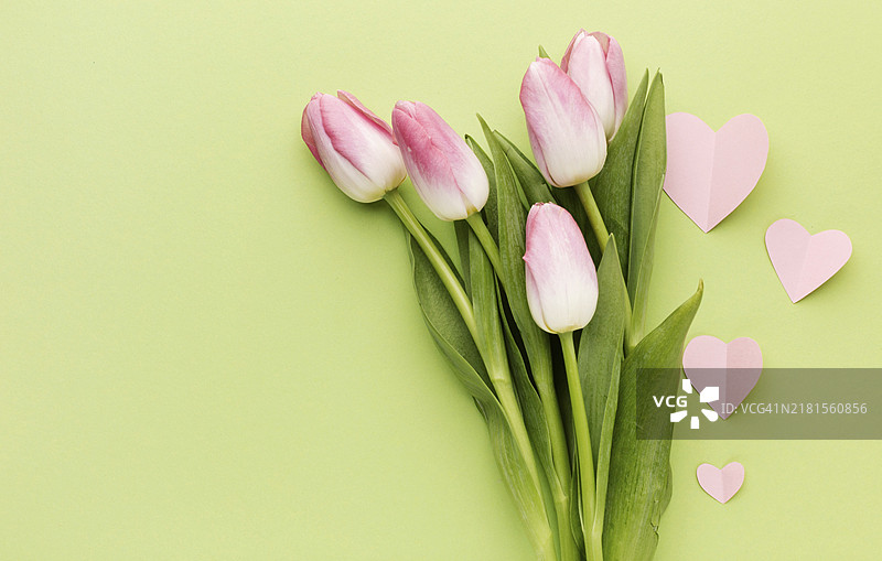 母亲节郁金香花束图片素材