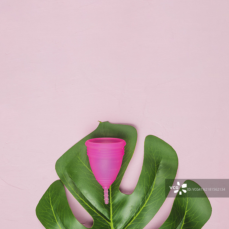 带有月经杯的树叶俯视图图片素材