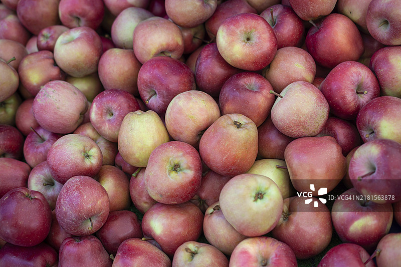 市场上展示的红苹果图片素材