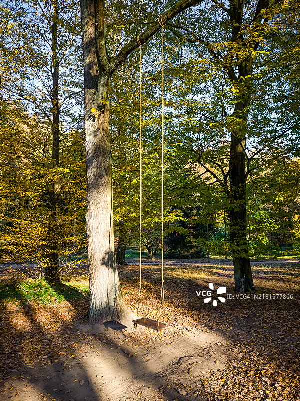 空荡荡的秋千悬挂在秋天的树下。图片素材