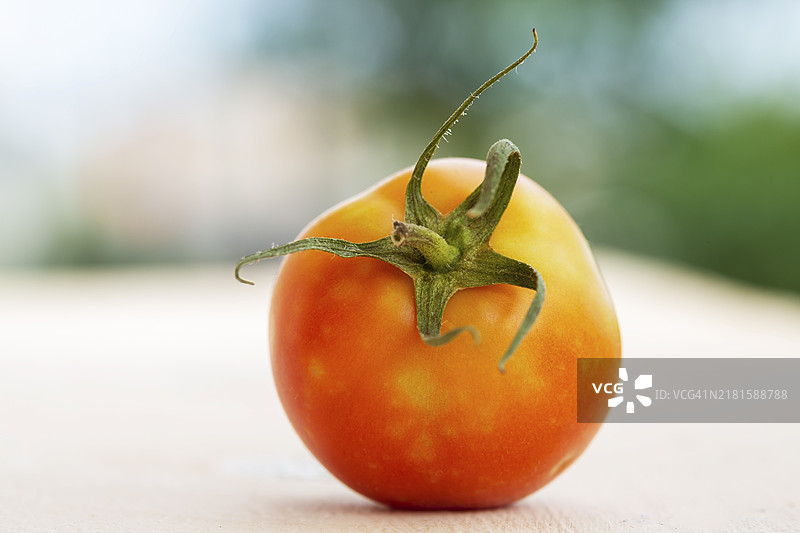新鲜成熟的番茄图片素材