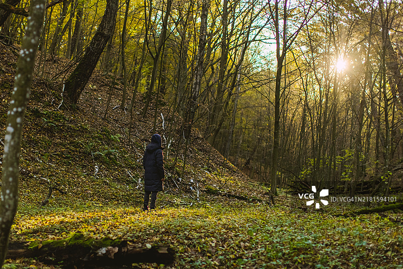 秋日森林中的男人图片素材