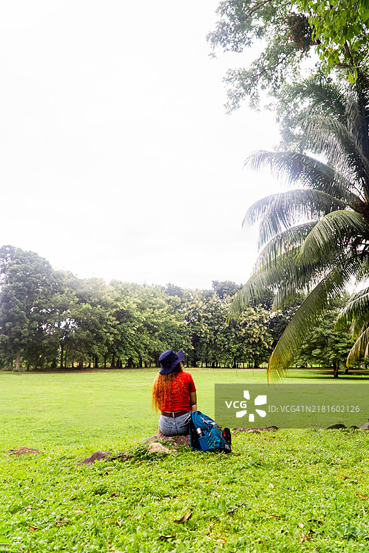 垂直拍摄的风景，满是树木，背景中有一位坐着的女性。图片素材