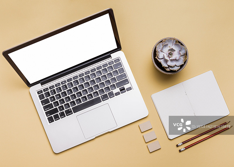 笔记本电脑文具多肉植物明亮背景俯视图图片素材