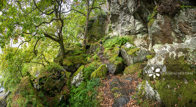 苏格兰西高地路上罗蒙湖沿岸的崎岖林地图片素材