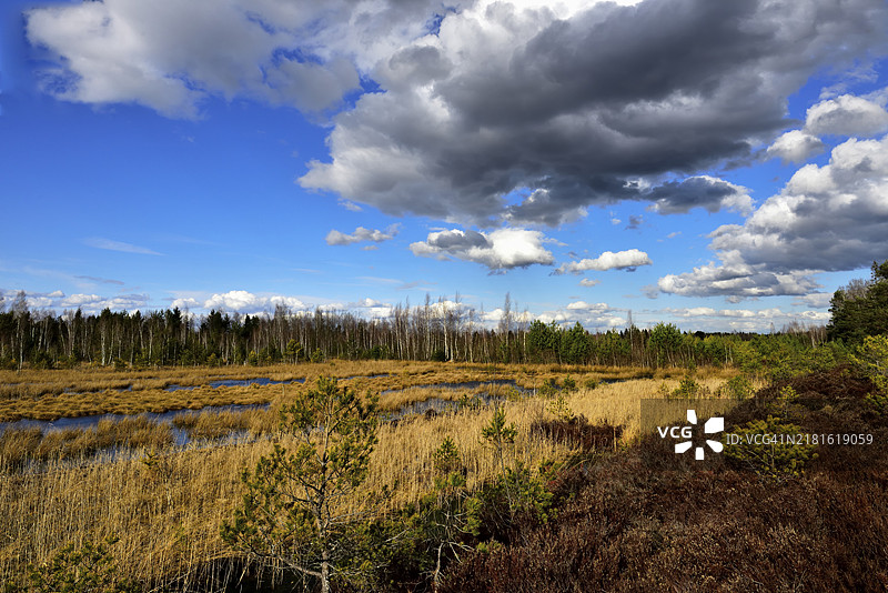 德国巴伐利亚罗森海姆附近荒地多云景象图片素材