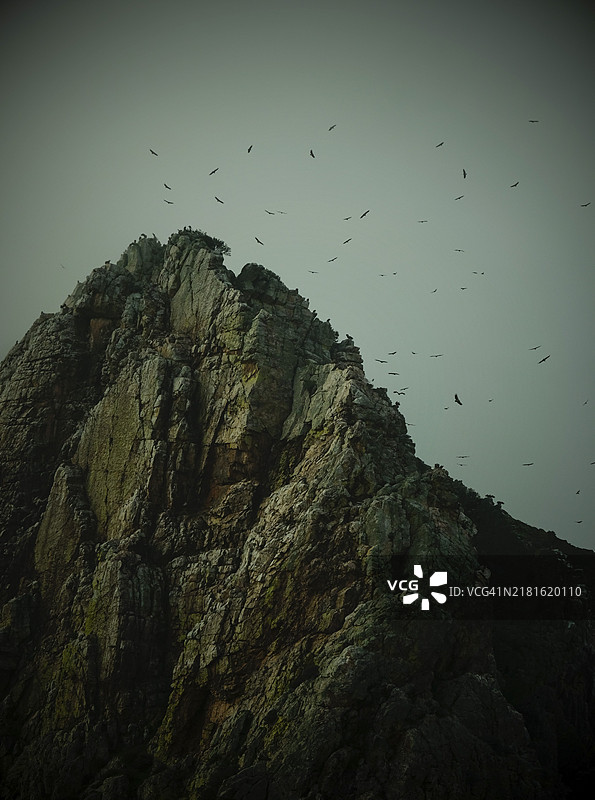 西班牙蒙弗拉格国家公园胡兀鹫图片素材