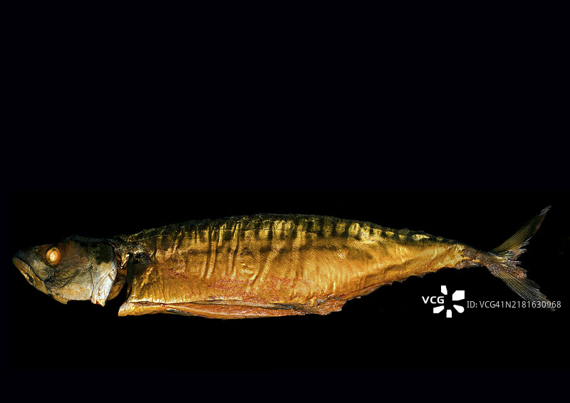 烟熏大西洋鲭鱼摄影作品（黑色背景）图片素材