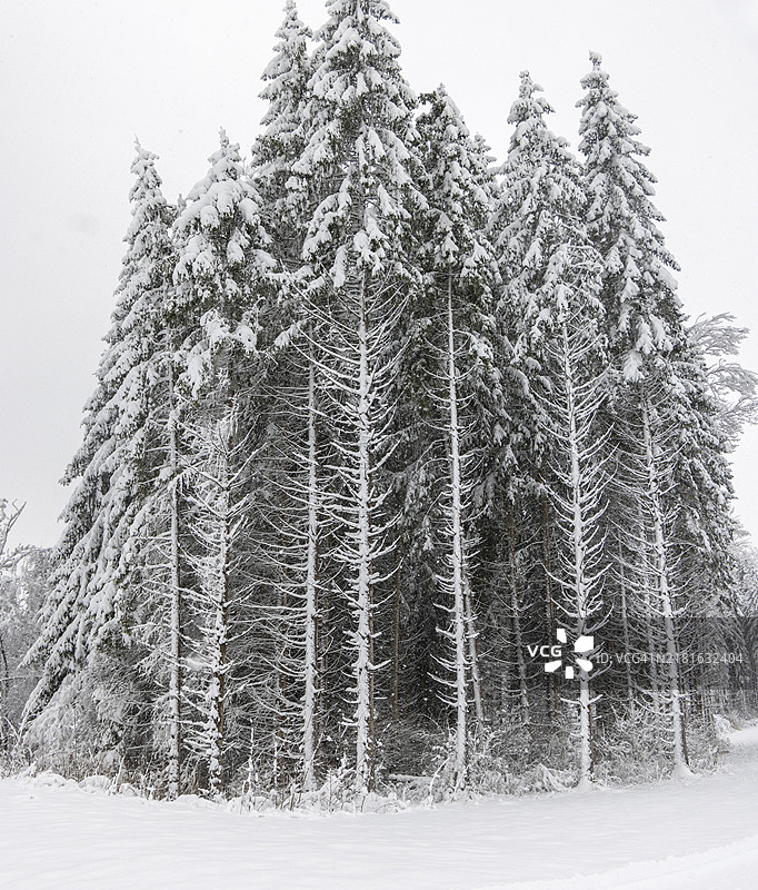 滨兹高的冬季全景图片素材