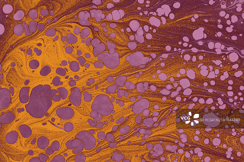 充满活力的色彩混合抽象现代背景模板设计图片素材