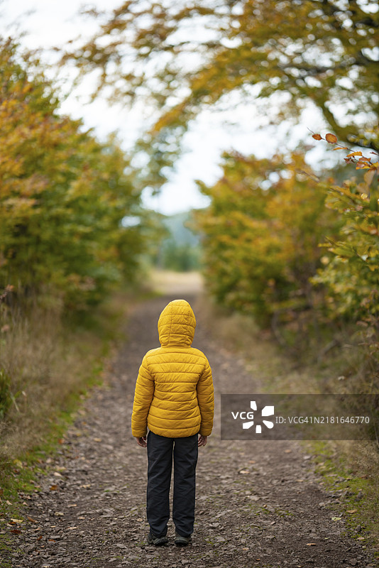 小男孩站在小路中间，双手垂下，秋天的色彩，波兰山区图片素材