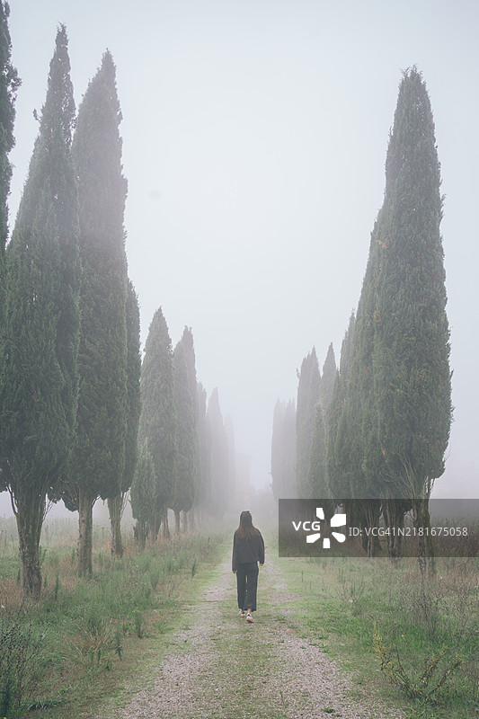 年轻女性在雾中走在树木成行的道路上图片素材