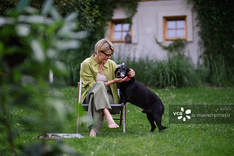 女人在后院度过下午，坐在折叠椅上和年长的家犬玩耍图片素材