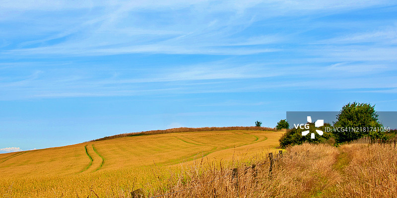 田野与天空的美丽景色图片素材