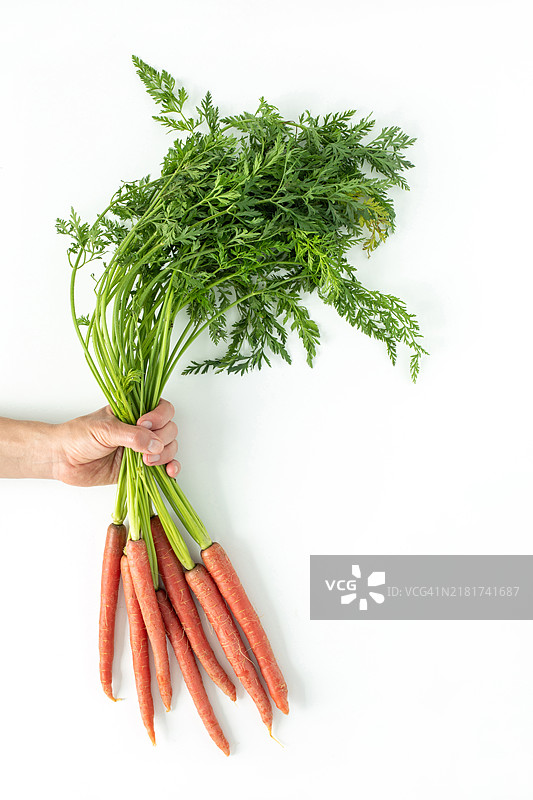 手里拿着一把带叶子的胡萝卜图片素材