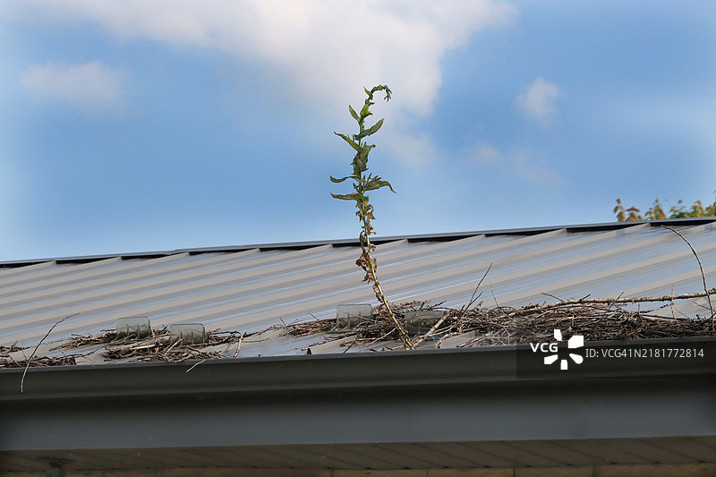 屋檐排水沟图片素材