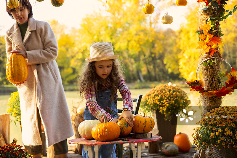 选择适合节日的南瓜图片素材