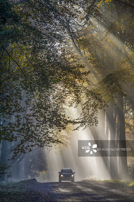 汽车行驶在萨韦尔纳克森林中图片素材