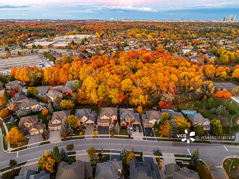加拿大伍德布里奇的彩色树叶图片素材