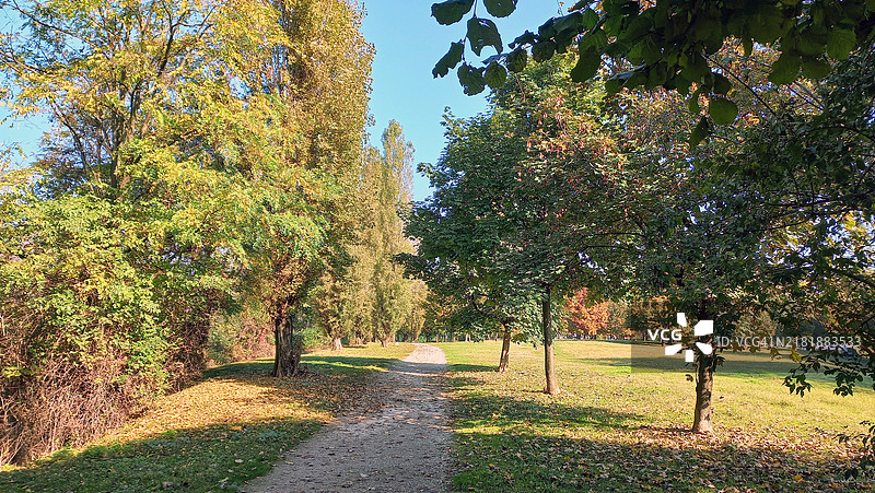 秋日阳光下的公园小径图片素材