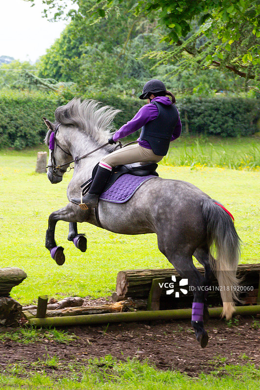 年轻女性与她的灰马在英格兰乡村以极具戏剧性的方式跳跃障碍，飞跃而过，场面十分激动人心。图片素材