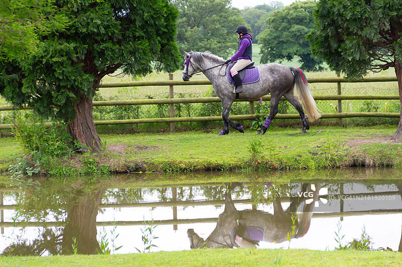 穿着紫色骑行服的女性骑手在夏日的池塘旁骑着她的灰马，马的倒影映在水中，构成了一幅美丽宁静的画面。图片素材
