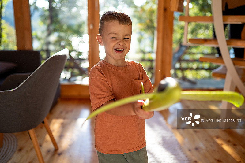 我们的湖边小屋是玩耍的最佳场所图片素材