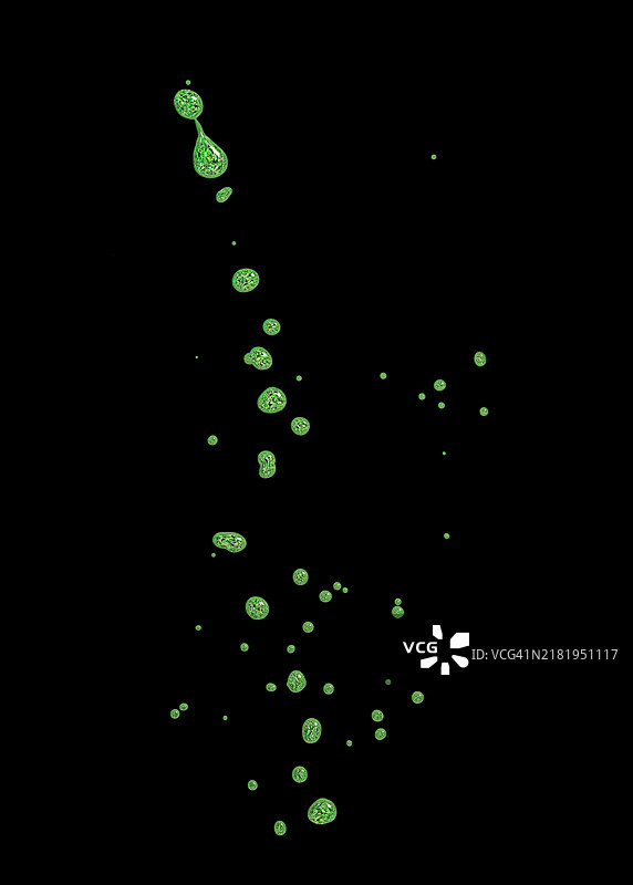 绿色油漆的小滴和气泡在黑色背景上移动图片素材